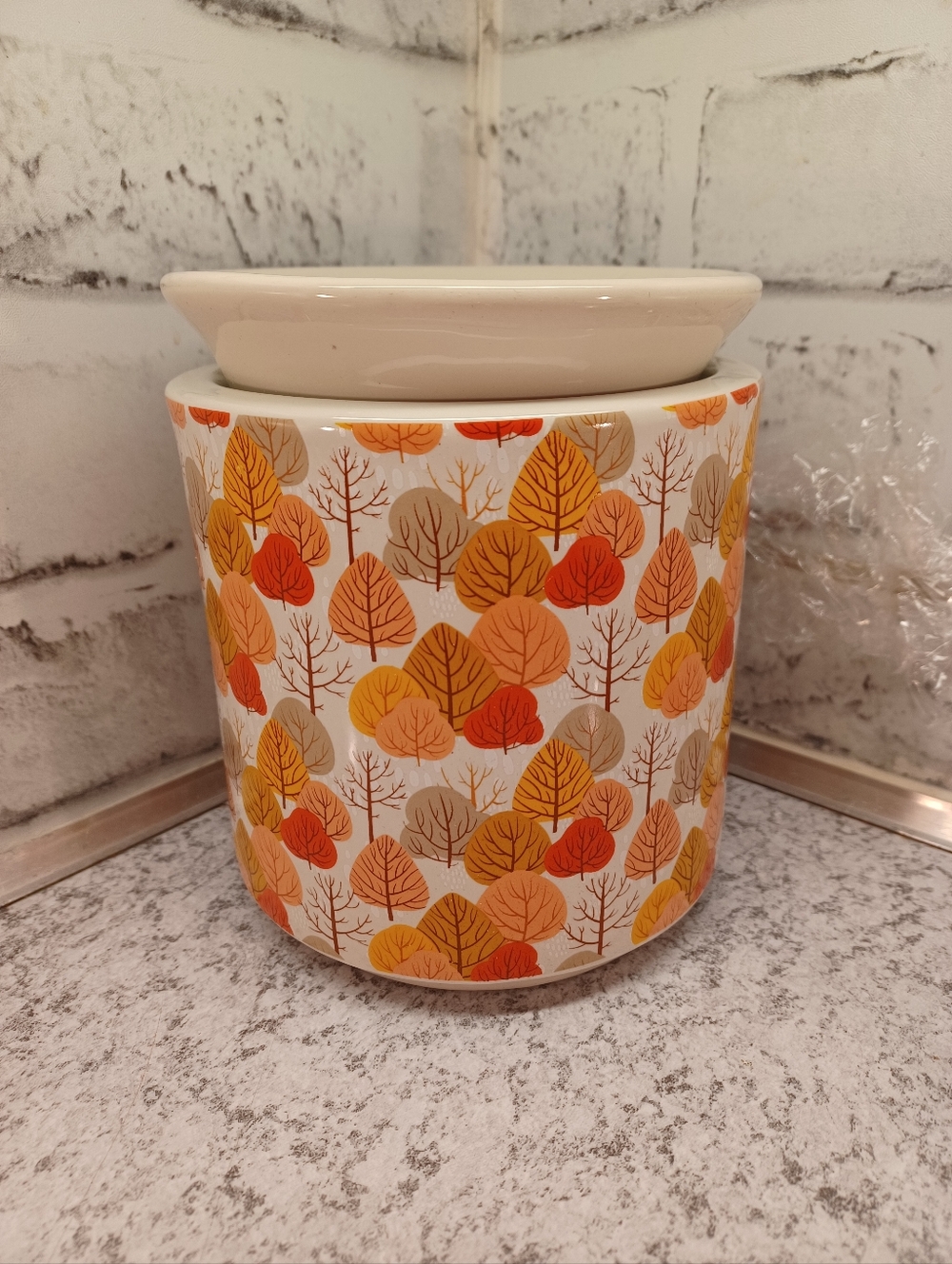 Autumn Blooms Simmer Pot Wax Warmer Pink Zebra fall white orange leaves